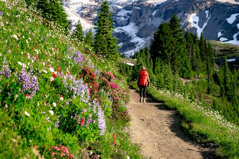 Hiking the JAW-DROPPING Skyline Loop Trail at Mt. Rainier National Park