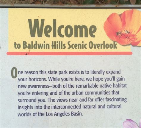 A Trip to Baldwin Hills Scenic Overlook to Climb the Culver City Stairs