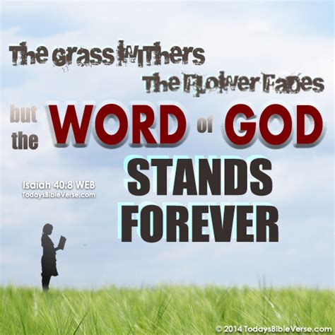 Word of God Stands Forever - Todays Bible Verse