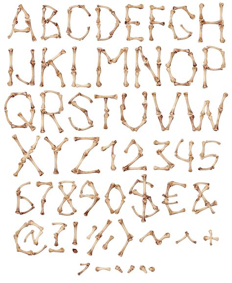 Instant Download Font Svg Bones Alphabet Svg Bones Font SVG Skeleton Font SVG Skeleton Svg ...