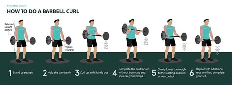 How to Do Barbell Curl: Variations, Proper Form, Techniques, Barbell ...