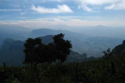 Sierra Gorda Biosphere Reserve (Mexico) | LAC Geo