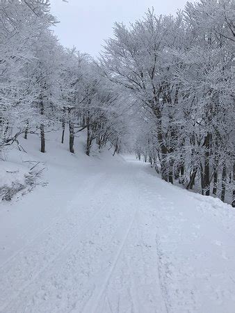 Yamagata Zao Onsen Ski Resort - 2019 All You Need to Know BEFORE You Go ...