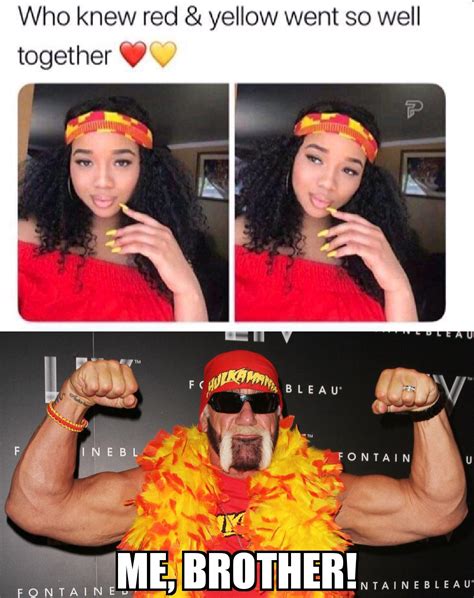 Hulk Hogan meme, brother! : r/WWE