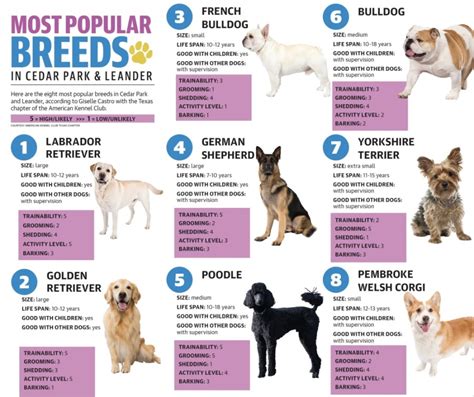 Find out if you have one of the most popular dog breeds in the Cedar ...