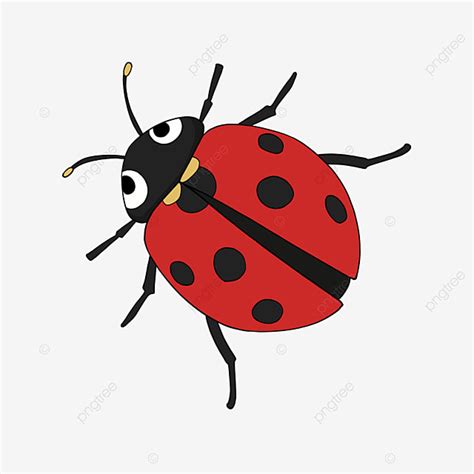 The Best Of Ladybug clip art Top Picks to Download – Find Art Out For ...