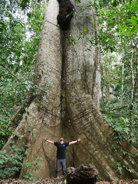 Tambopata National Reserve | Tambopata, Amazon rainforest, Travel style