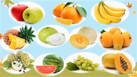 Kinds Of Fruits For Kids