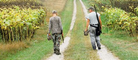 Dove Hunting Tips: How to Find, Attract, & Shoot Doves | Academy