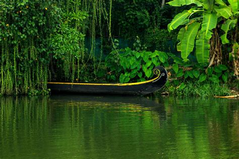 Alleppey Backwaters | Times of India Travel