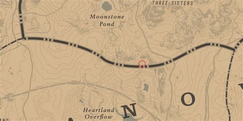 RDR2: How To Solve Chick's Treasure Map