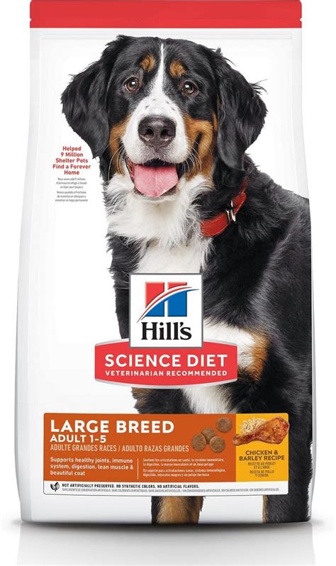 Best Dog Food For Allergies - Giggle Pets