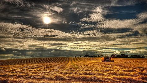 Beautiful wheat field in comber northern ireland, sun, wheat, fields ...