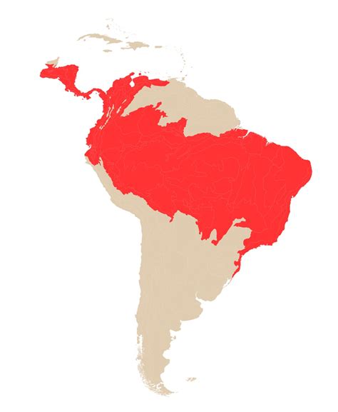 Sloth Species Distribution Map