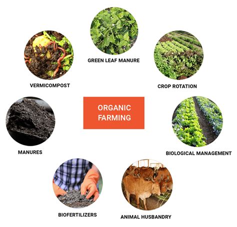 Organic Farming Website Design @ Rs. 5900 - Organic Farm Website Development Company Near Me ...