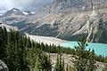 Category:Peyto Glacier - Wikimedia Commons