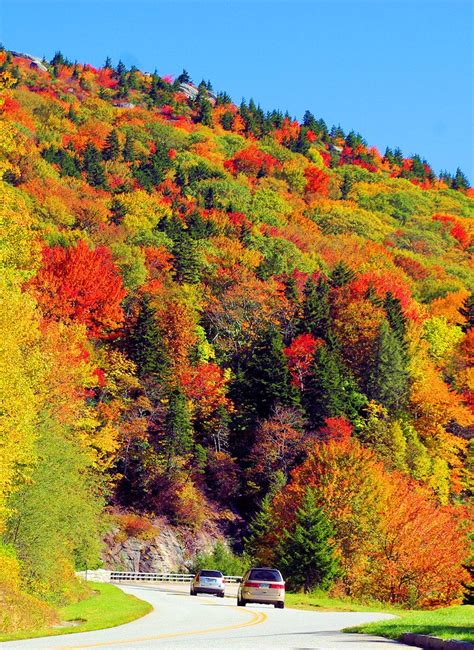 Blue Ridge Parkway Top 50, Asheville | RomanticAsheville.com | Beautiful nature, Scenery, Fall ...