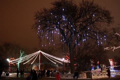 ZooLights in Chicago 2023 - Rove.me