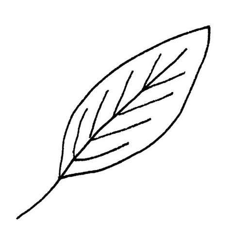 Leaf To Draw - ClipArt Best