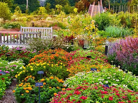 Penn State Arboretum in Pennsylvania Stock Image - Image of blue, bald ...