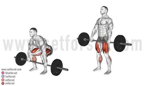 4 Deadlift Alternatives That'll Still Build Size & Strength - SET FOR SET