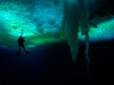 Under the Ice: Research Diving in Antarctica / Boing Boing