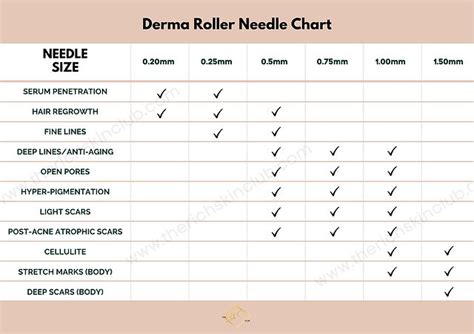 Kricket Erwerb Explizit derma roller needle size chart Abfluss ...