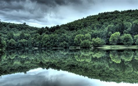 Forest Lake Reflection wallpaper | nature and landscape | Wallpaper Better