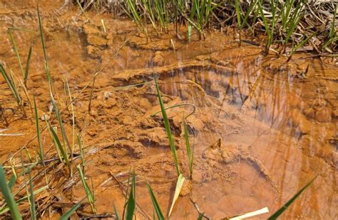 8 Causes for Well Water to Suddenly Turn Brown