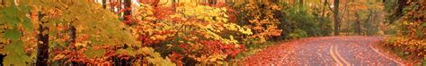 Fall Colors in the Smoky Mountains | Fall Foliage Around Pigeon Forge TN