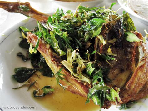 Ayam Tangkap Aceh by Olive Bendon - Discover Your Indonesia