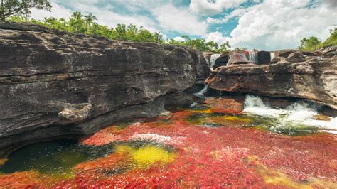 Caño Cristales — Colombia's "River of Five Colors" | The HoliDaze