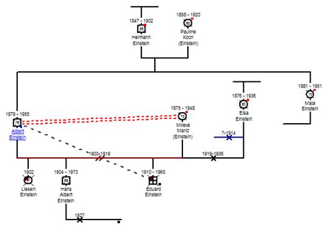 Albert Einsteins Family Tree