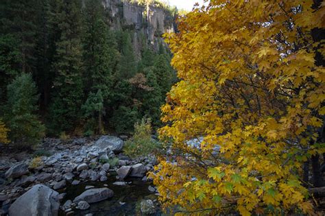 Yosemite National Park | Yosemite National Park is in Califo… | Flickr