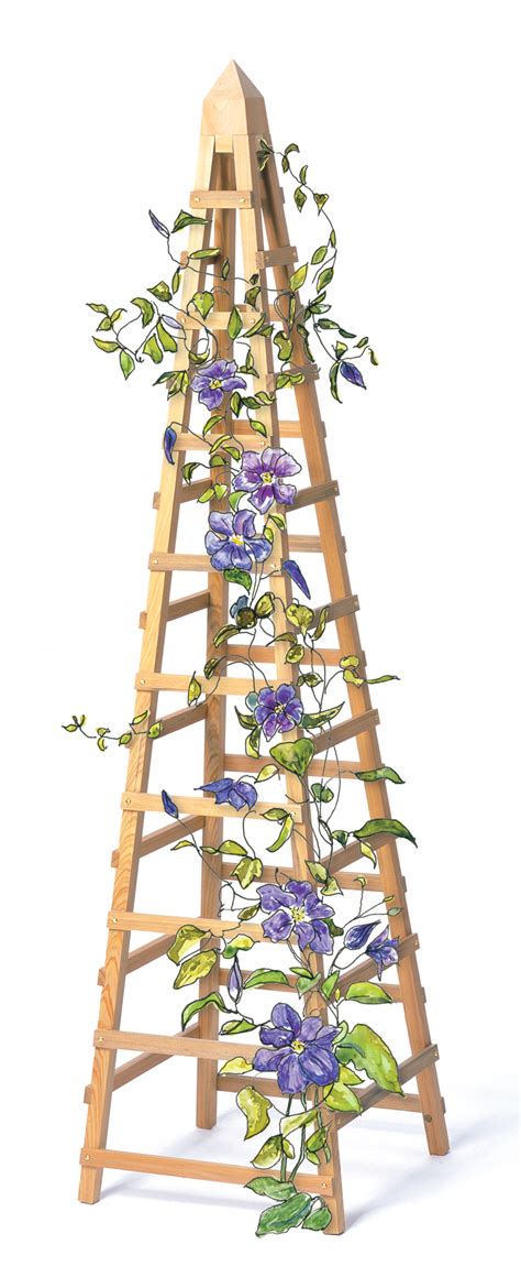 How to Build a Vine Trellis: DIY Garden Trellis Plans