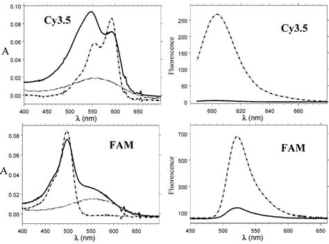 Absorption and fluorescence spectra of 5′Cy3.5-(top) and 5′FAM-(bottom)... | Download Scientific ...