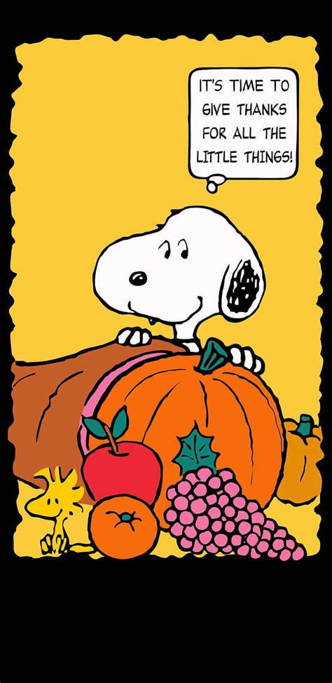 Download Happy Thanksgiving from Snoopy Wallpaper | Wallpapers.com