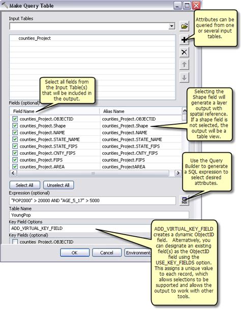 Examples of queries with the Make Query Table tool—ArcMap | Documentation