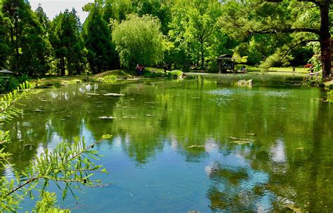 Maymont Park - Japanese Garden Photograph by Arlane Crump - Pixels