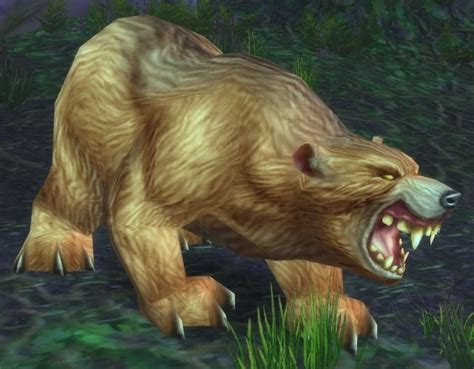 Giant Ashenvale Bear - NPC - World of Warcraft