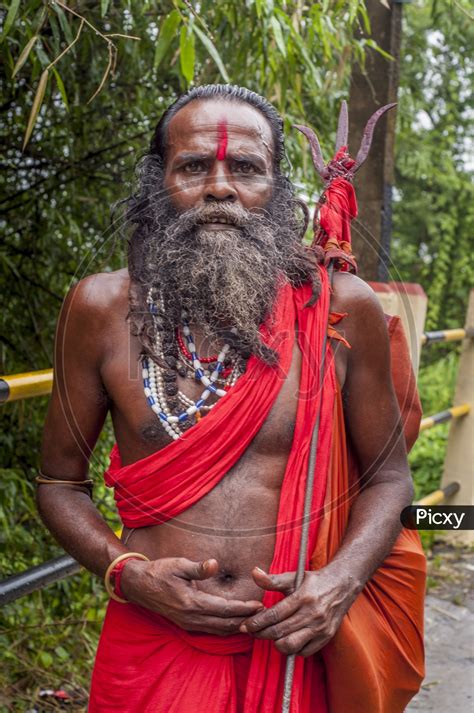 Image of Sadhu at Ambubachi Mela, Assam-TR899673-Picxy