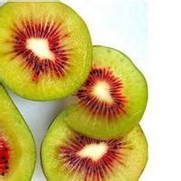 red kiwi/kiwi fruit products,China red kiwi/kiwi fruit supplier