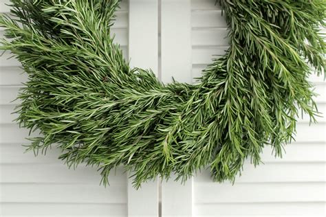 Rosemary Wreath | Home Decor & DIY Wedding Flowers | Free Shipping ...