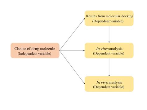 Conceptual Framework