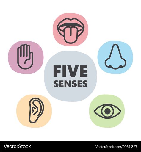 Icon set of five human senses Royalty Free Vector Image