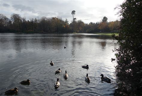 Claremont Landscape Garden | The Surrey Edit