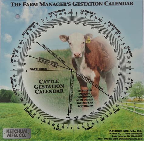 Animal Gestation calendar