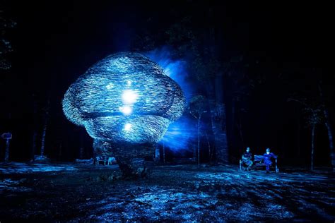 North Forest Lights | Crystal Bridges Museum of American Art