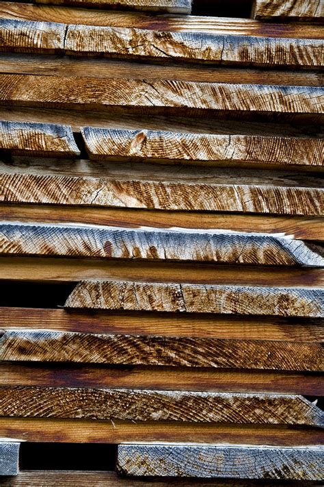 Alpine Lumber Photograph by Frank Tschakert - Pixels