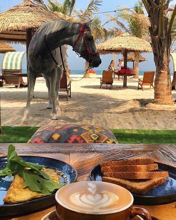 Kite Beach Center Restaurant & Cafe, Umm Al Quwain - Restaurant Reviews ...